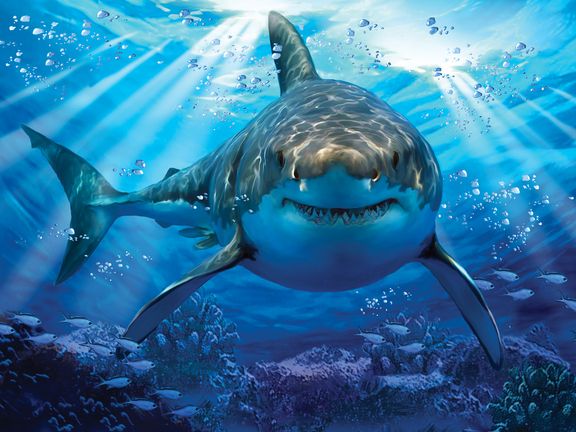 Стерео пазл PRIME 3D 10048 Большая белая акула