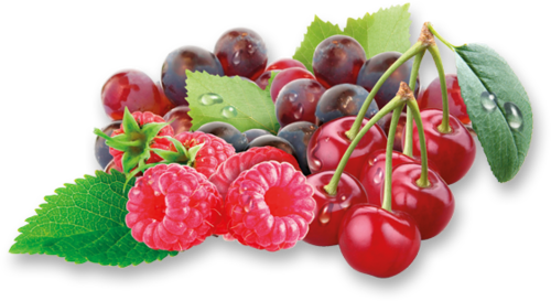 Лесные ягоды Красные Stockmeier Food
