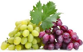 Grape (Виноград) / Стандарт