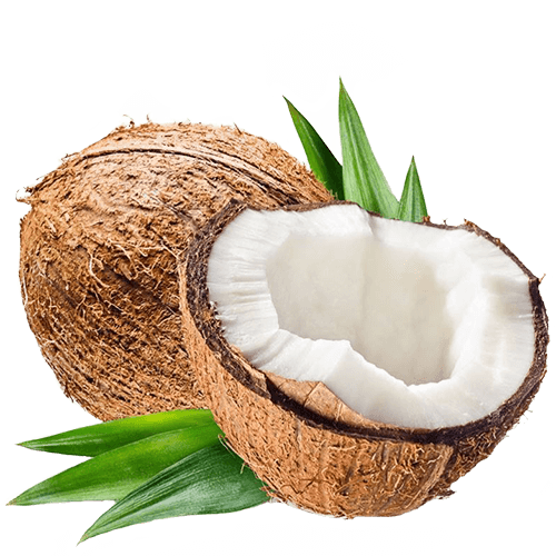 Coconut (Кокос) / Capella