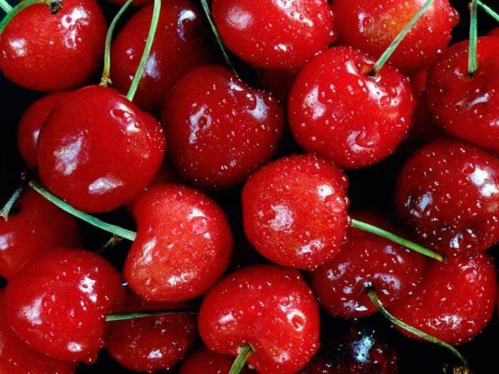 Cherry (Вишня) / Xi'an Taima