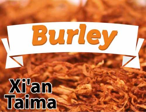 Burley (Табак Берли) / Xi'an Taima