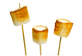 Toasted Marshmallow Flavor / Поджаренный маршмеллоу TPA