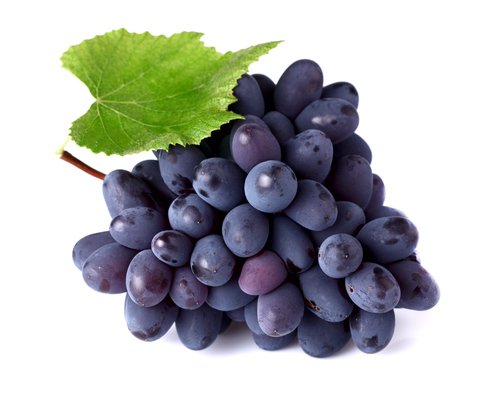 Grape (Виноград) / Xi'an Taima / Corsair