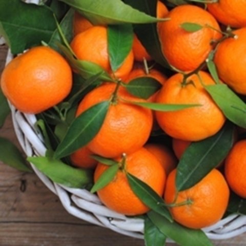 Orange Mandarin Flavor TPA