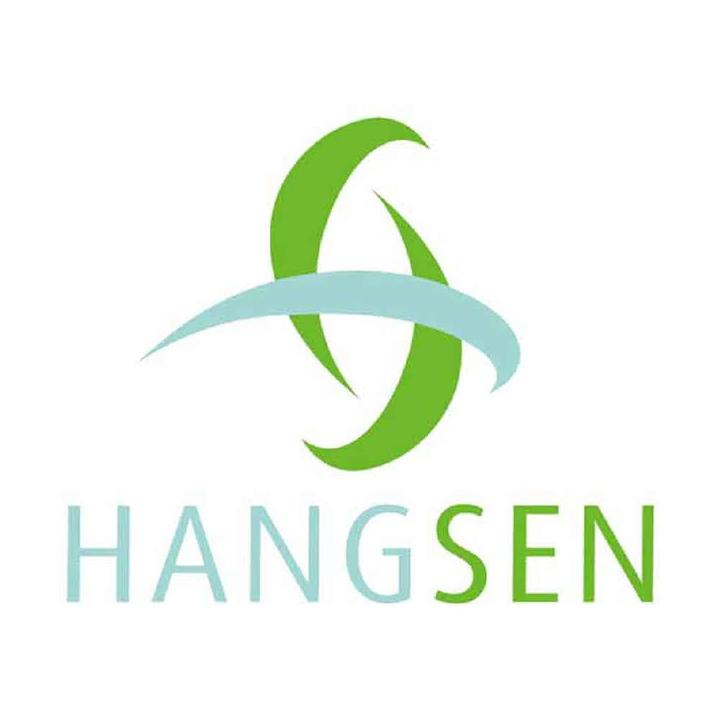 Winson / Hangsen / Табачная эссенция