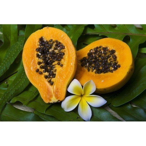 Papaya Flavor TPA