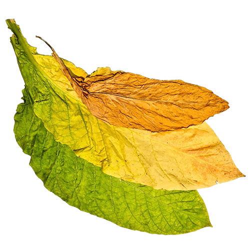 Stag Leaf Tobacco (Табак) / Flavor West
