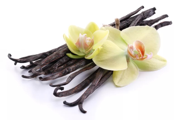 Vanilla (Ваниль) / Xi'an Taima / Corsair